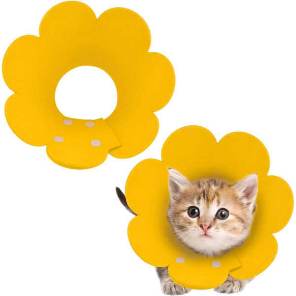 Evcil Hayvan S Boy Keçe Elizabeth Yakalığı